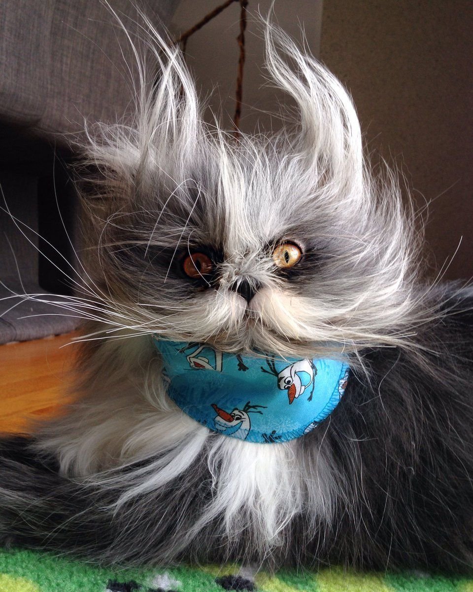 Кошачий оборотень Атчум