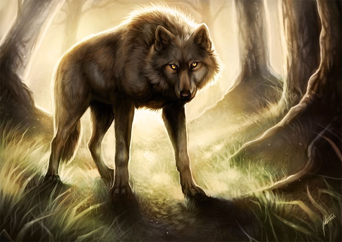 Волк фэнтези арт