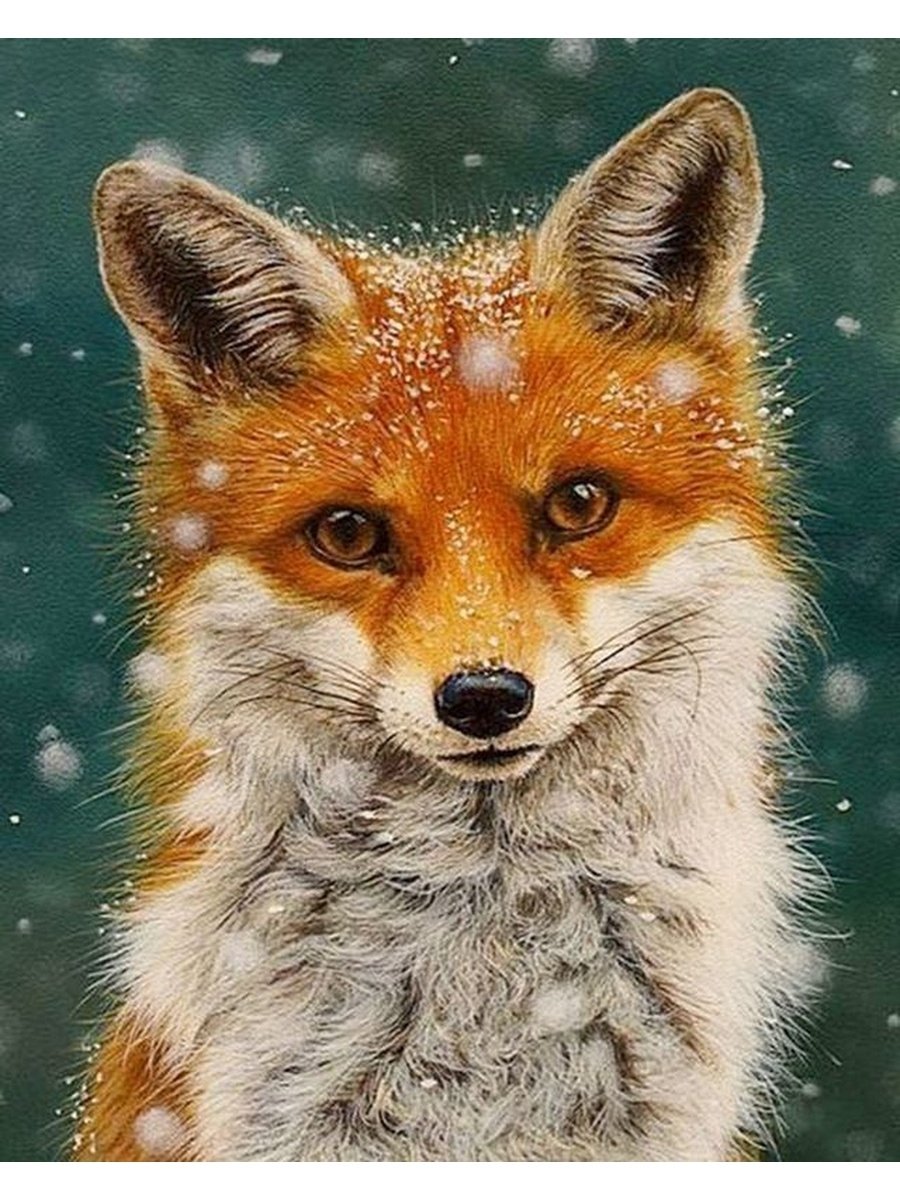 Лиса укусила