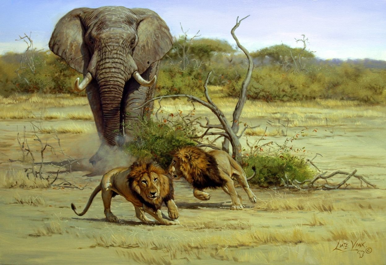 Elephants are big cats. Африка сафари охотник на Львов Носорогов. Eric Forlee картины.
