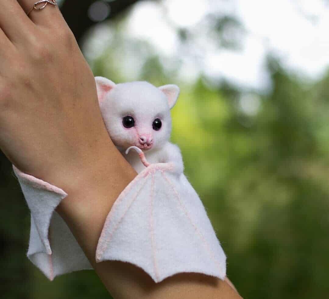 Летучая лисица альбинос