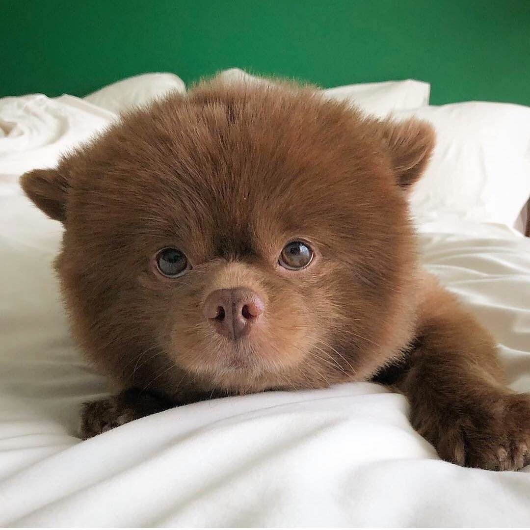 Раскраски с наклейками