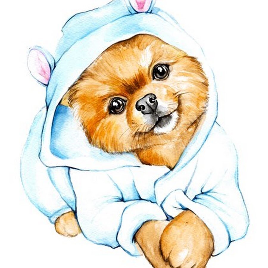 Мультяшные Шпицы милые