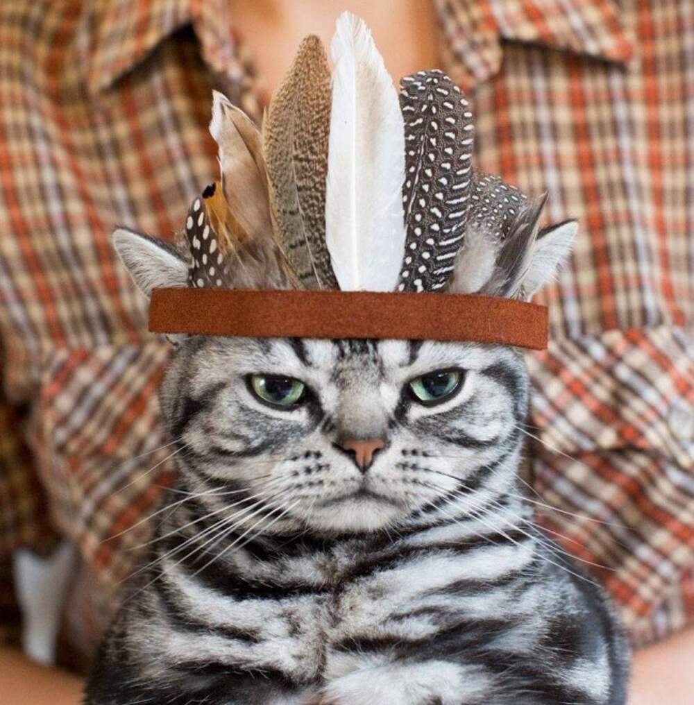 Котейка на аву