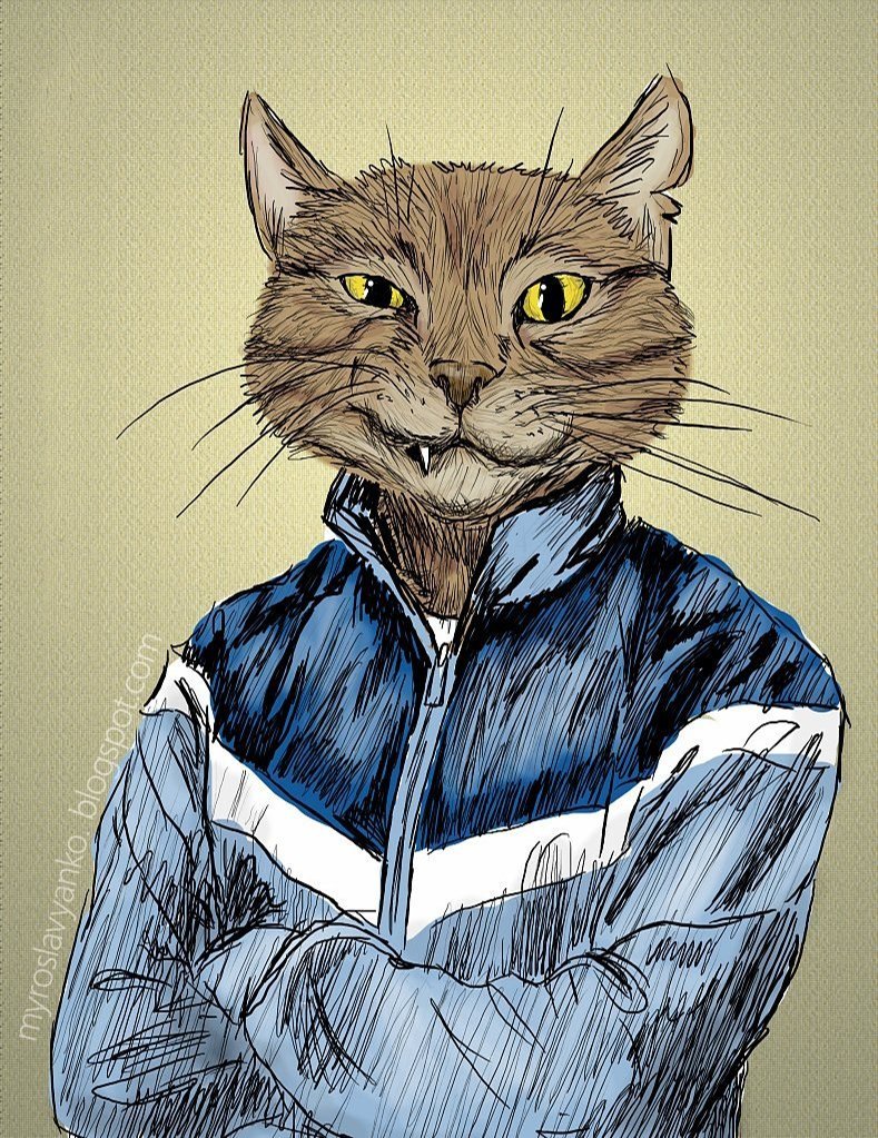 Черные коты