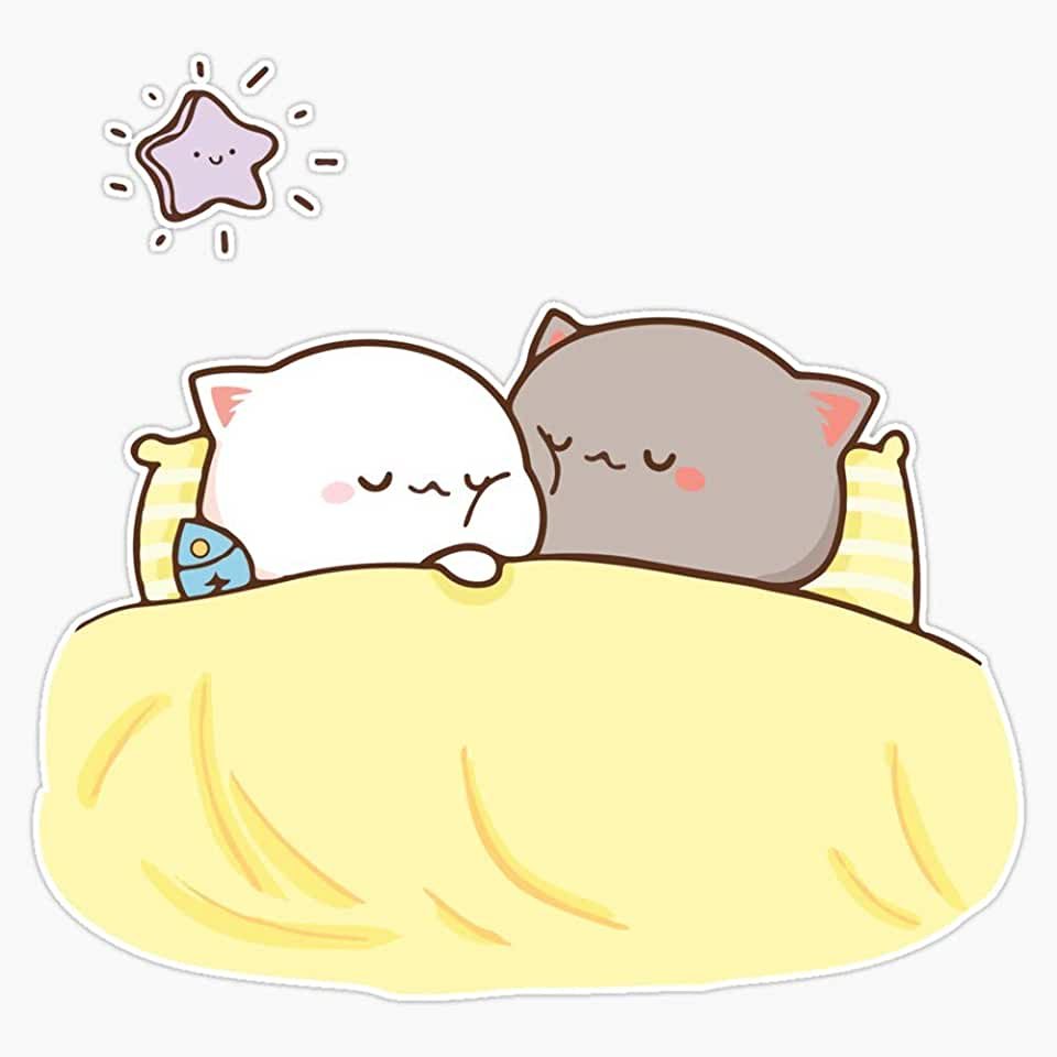 Кавайные котики спят