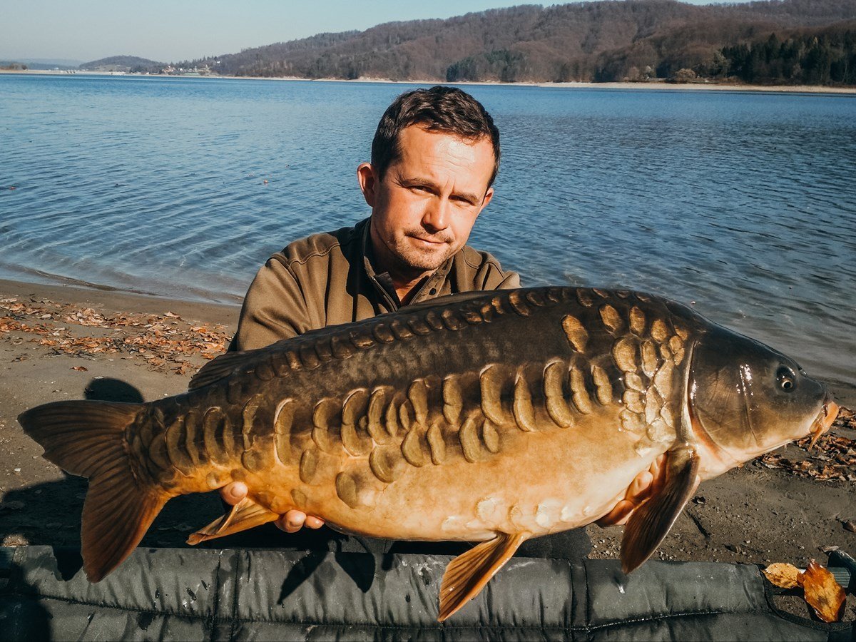 Карп венгерский лысый