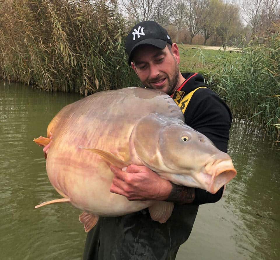 Каваримоно Карп кои