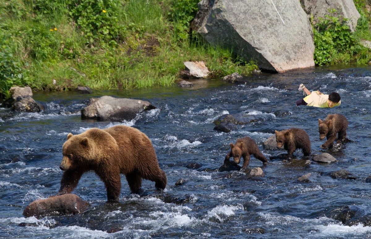 Байкальская Нерпа на Байкале