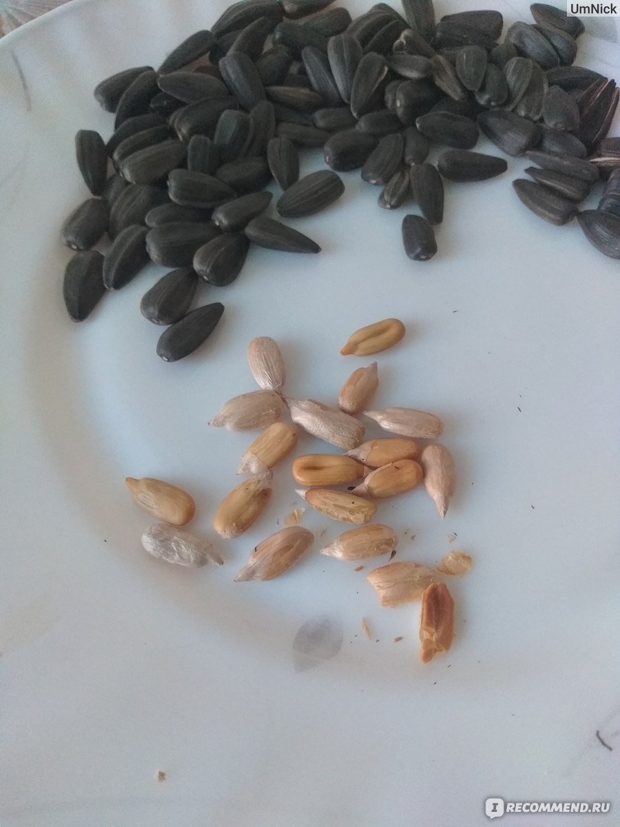Семечки очищенные 10 грамм