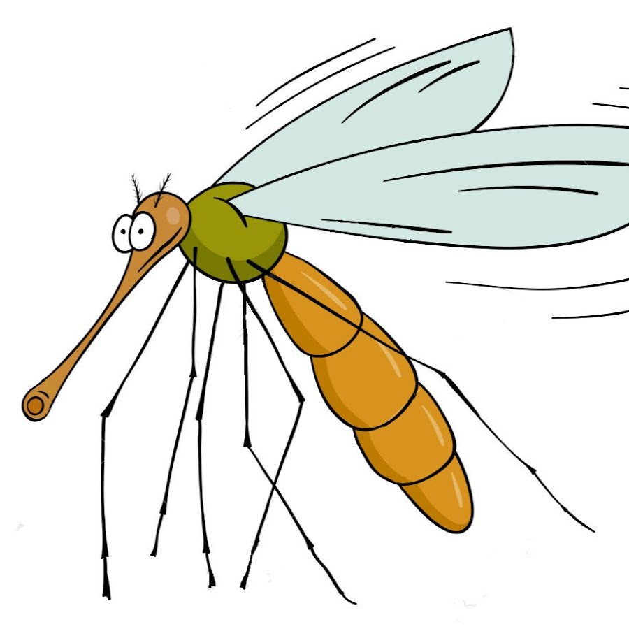 Комар нарисованный на белом фоне