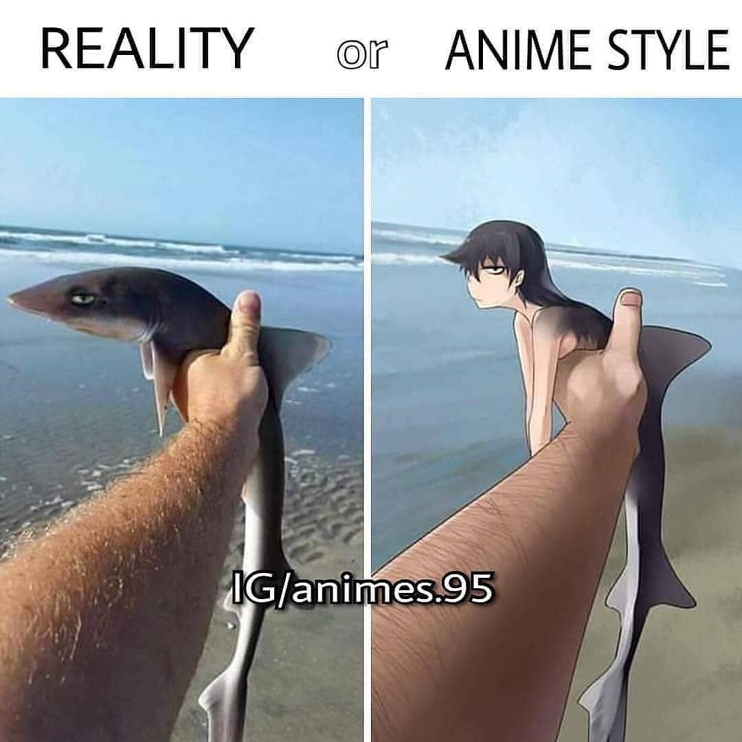 Океаническая белоперая акула