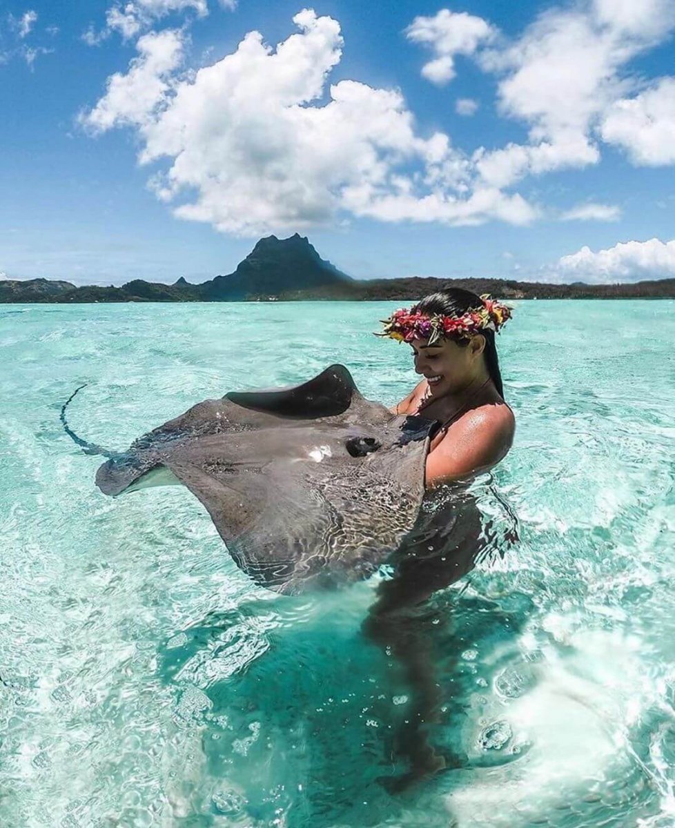 Поплавать со скатами