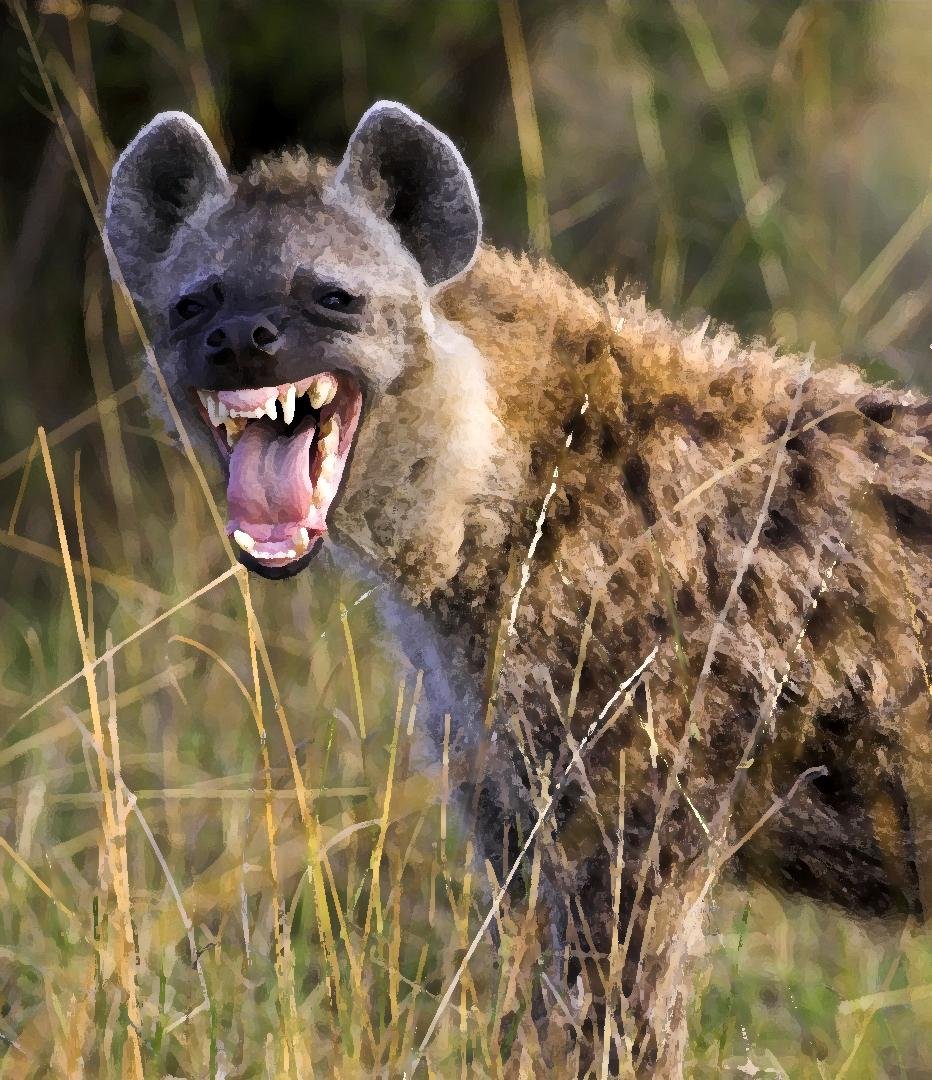 Черный Аляскинский волк