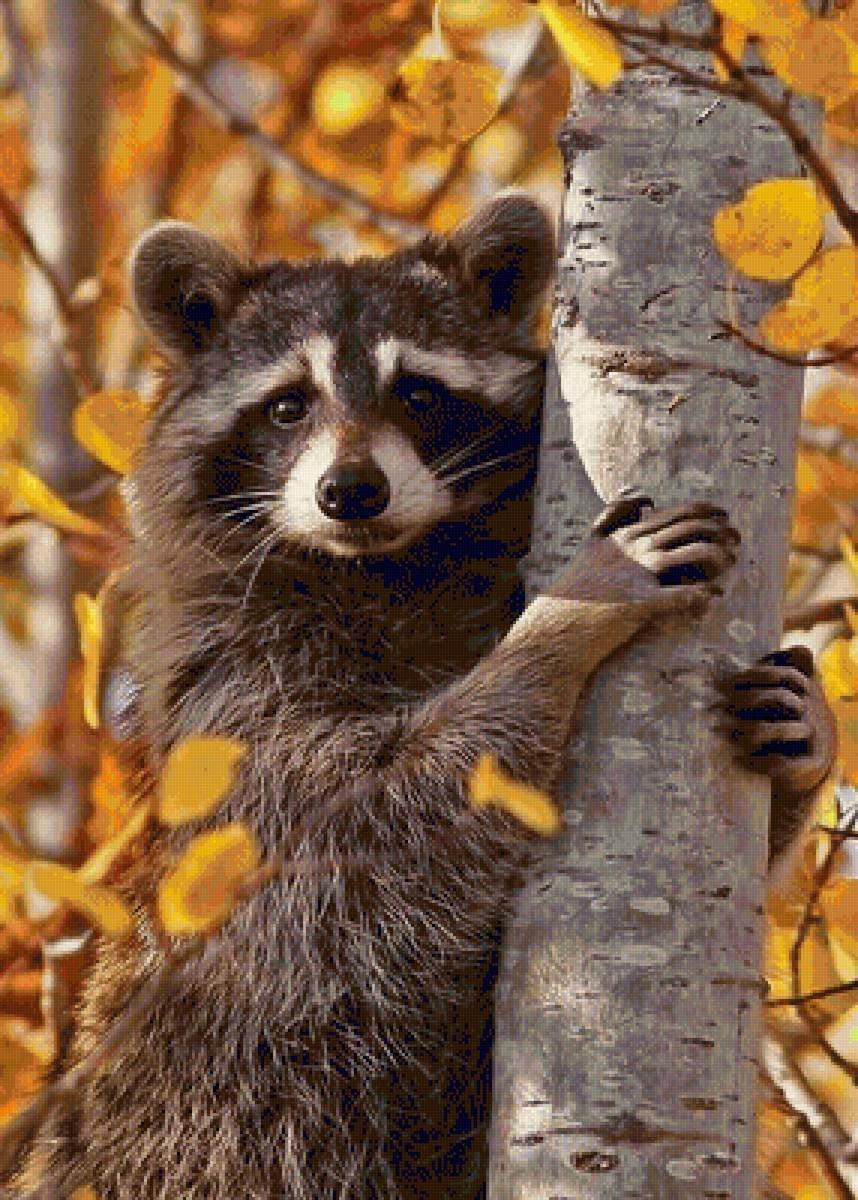 Животные осенью