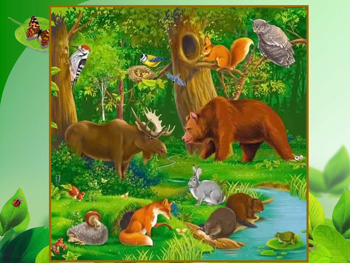 Лесные жители