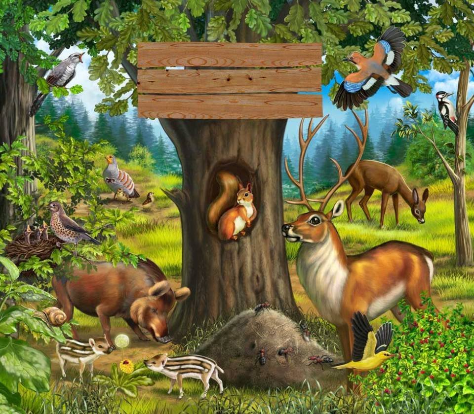 Животные в лесу