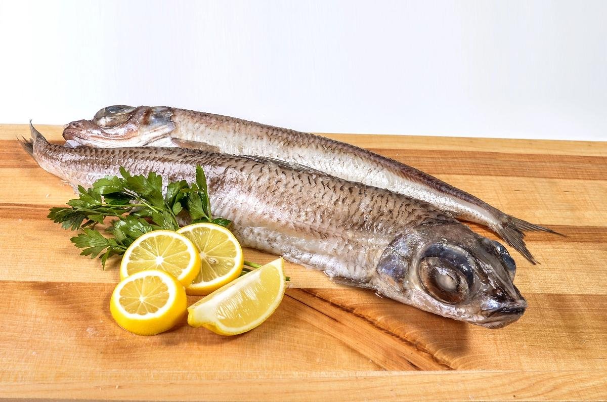 Рыба Аргентина