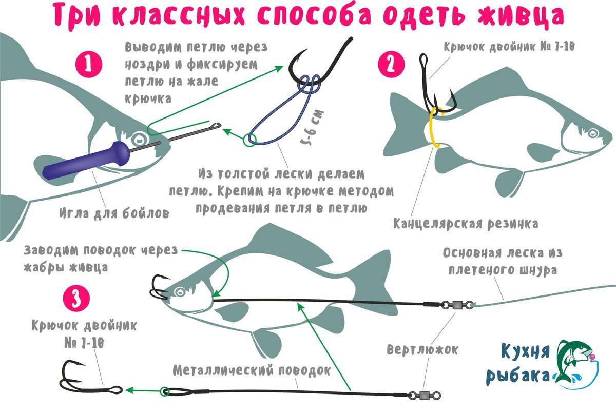 Варианты насаживания живца на крючок