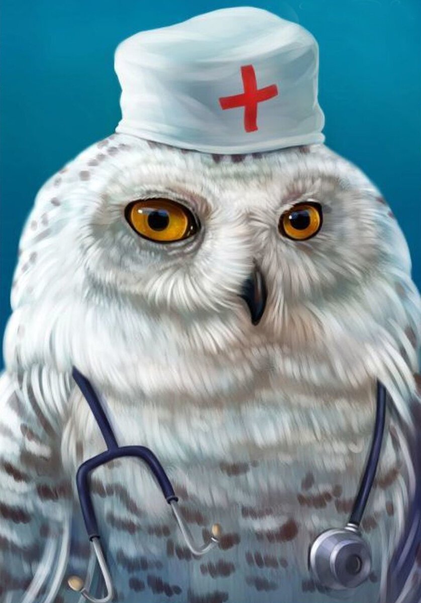 Сова врач