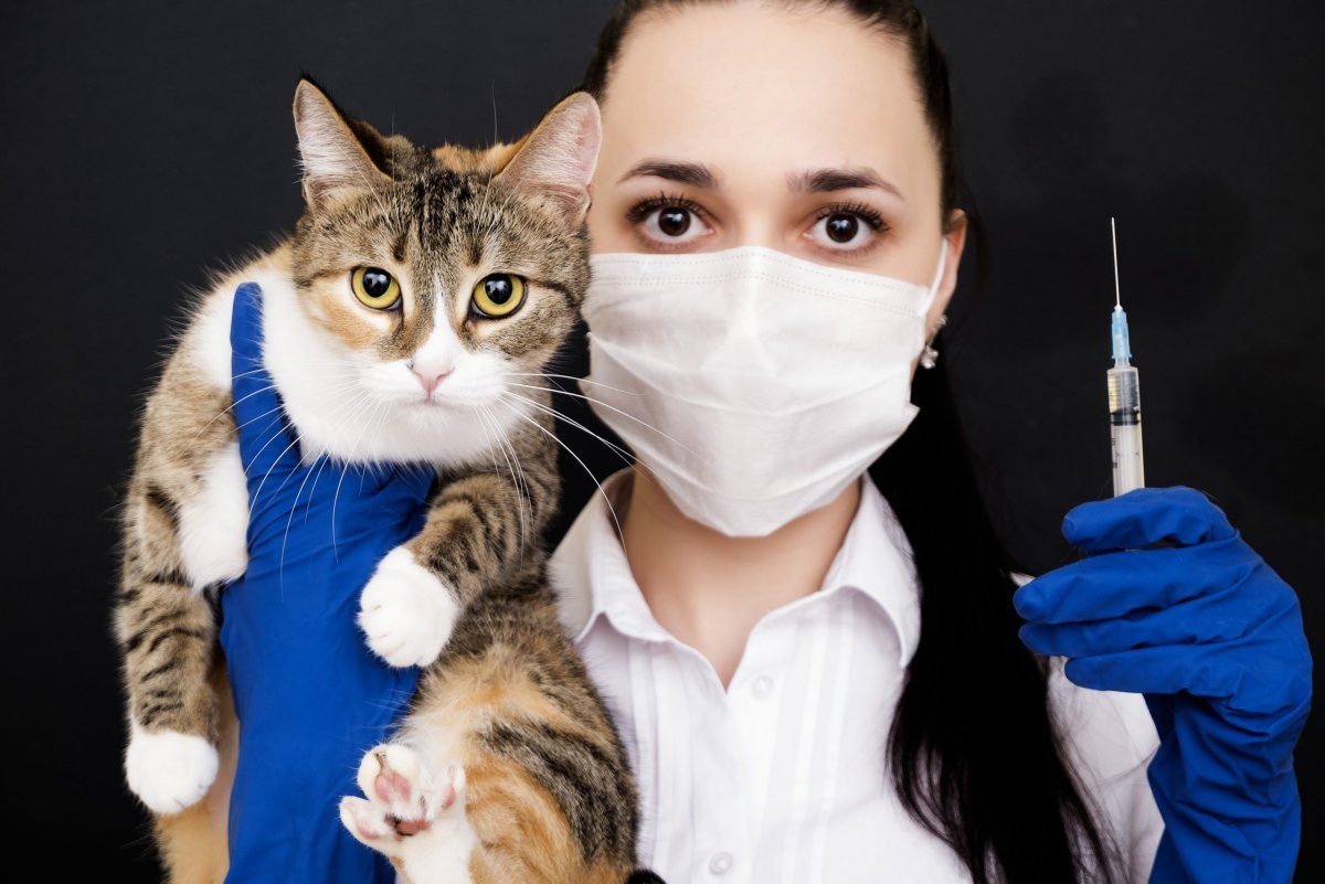 Портрет ветеринара