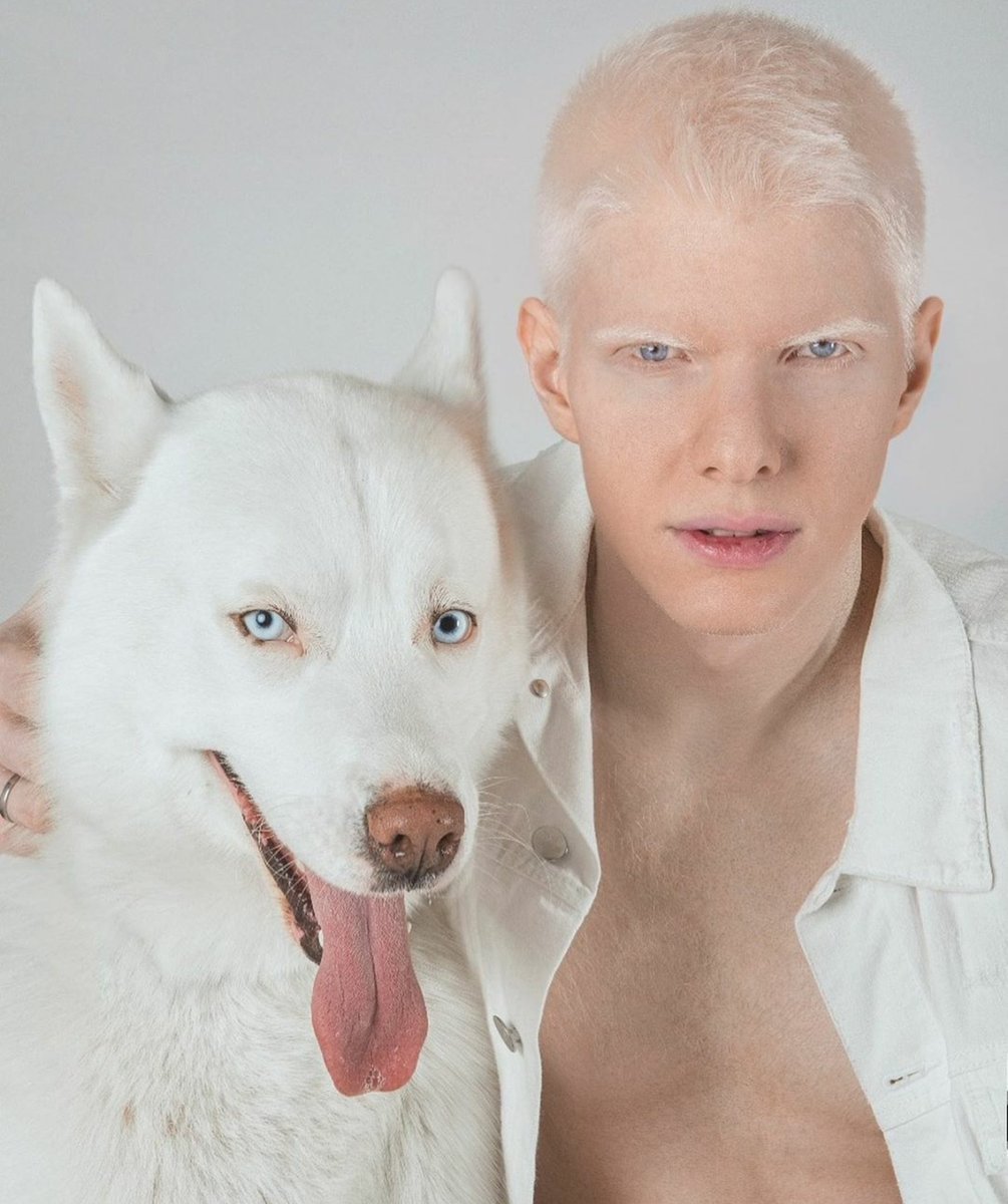 Певец альбинос бера