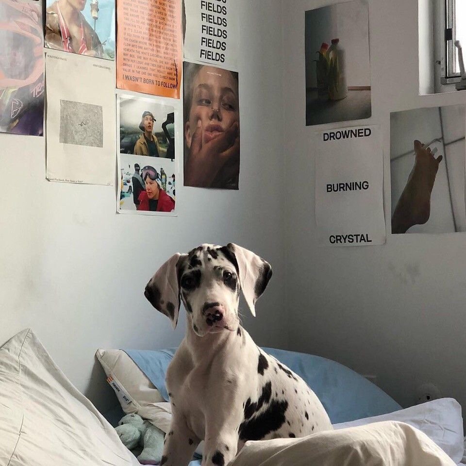 Обнимает собаку