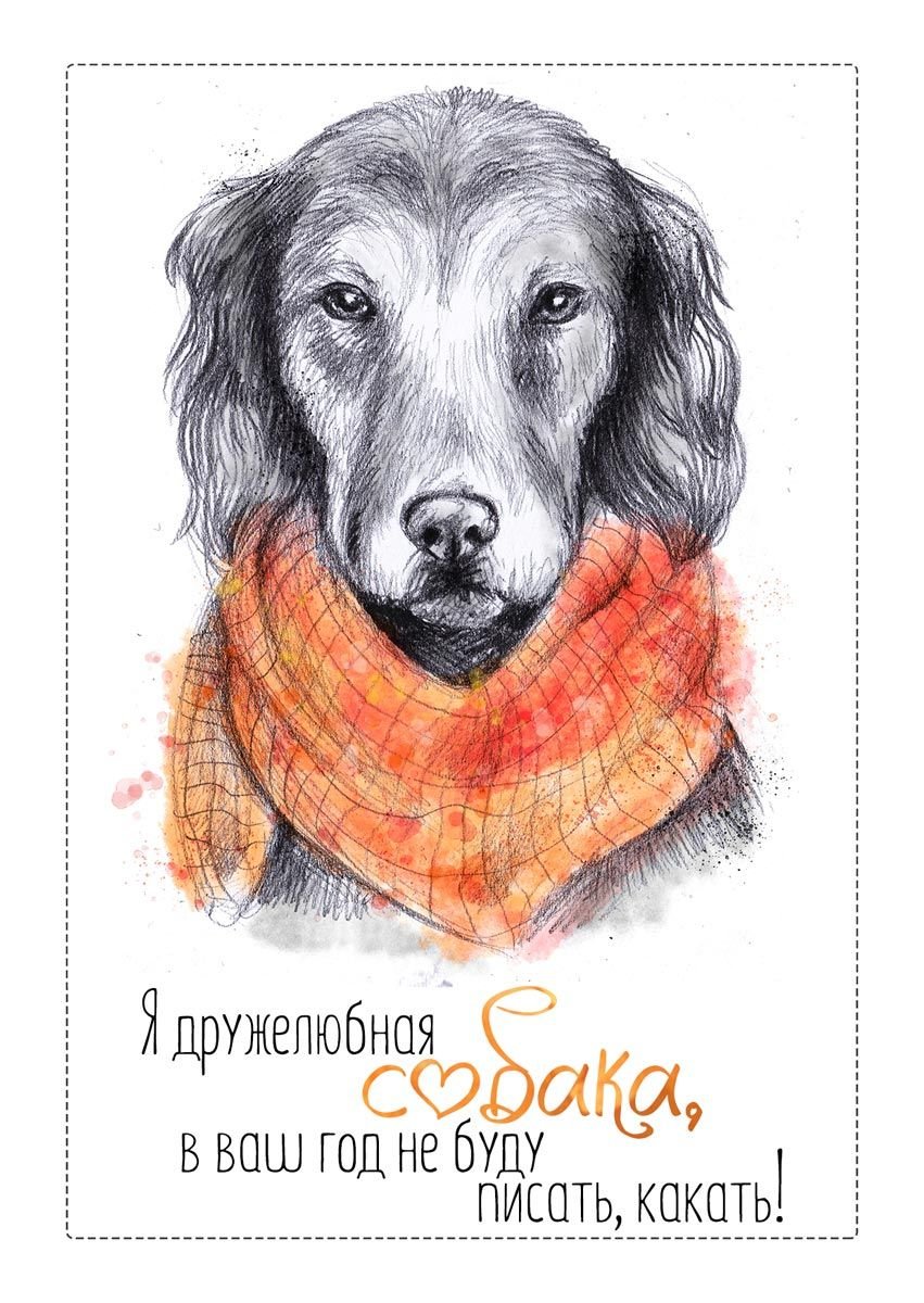 Овчарка улыбается