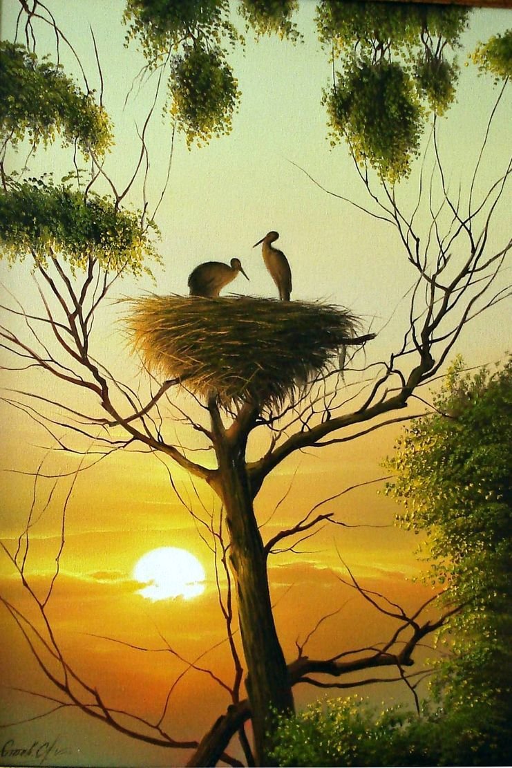 Ширли Джексон "Птичье гнездо"