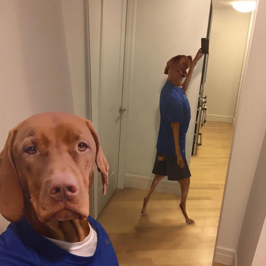 Смешные селфи