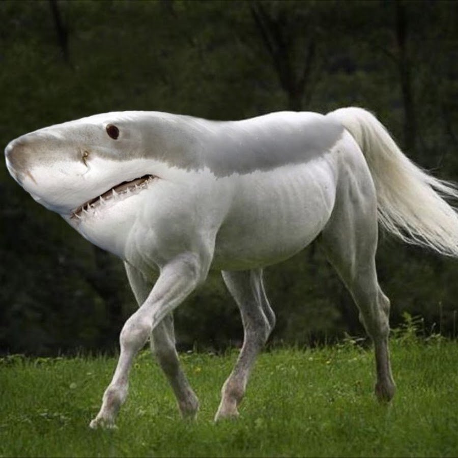 Скрещенные животные