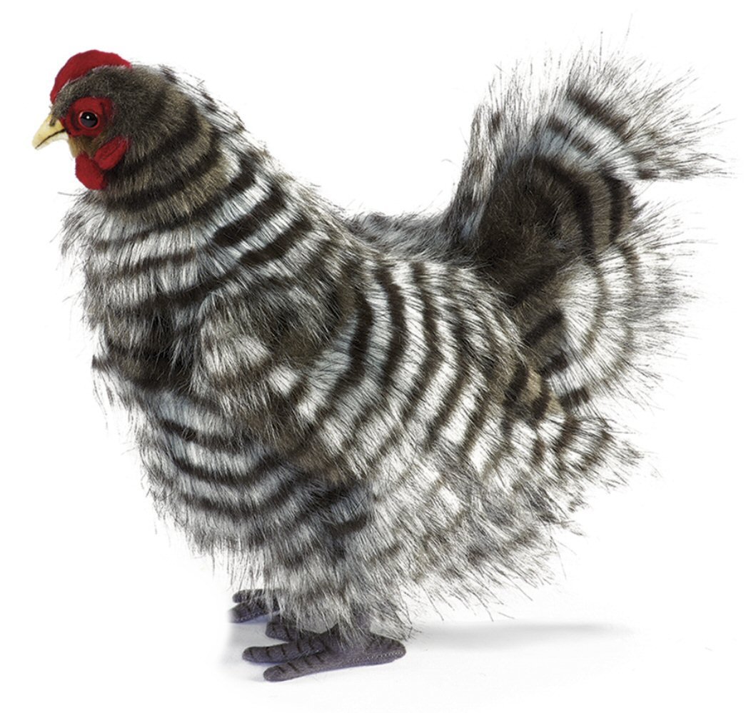 Японская курица Ханса