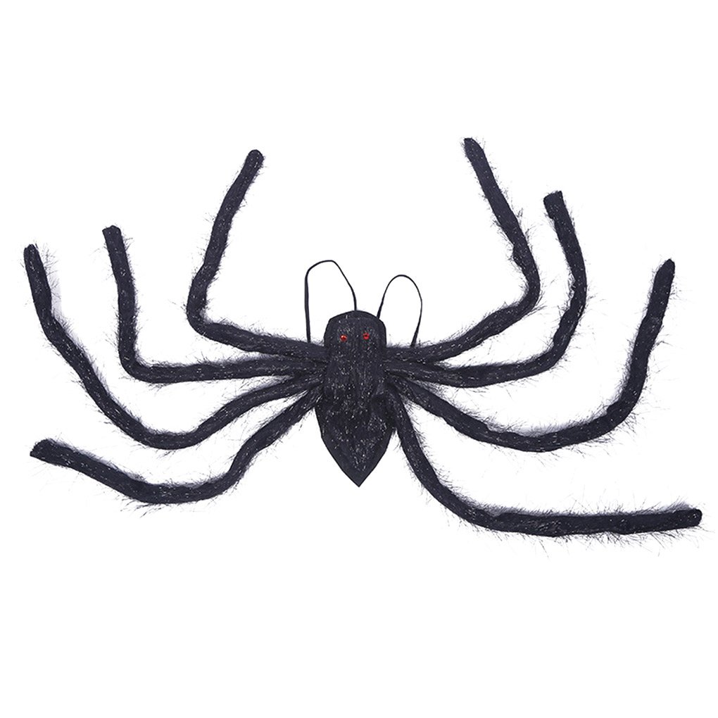 Мохнатый паук на белом фоне