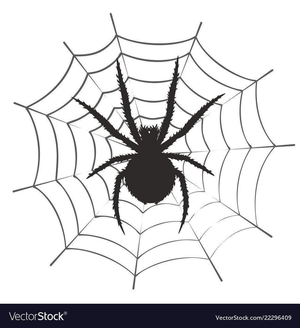 Паук и паутина для детей