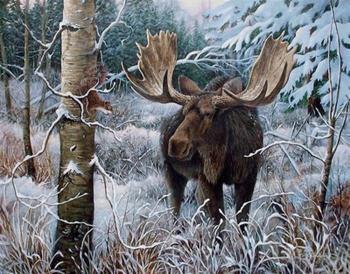 Живопись Лось в лесу