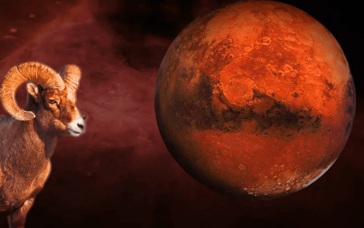 Овен и Лев хуманизация