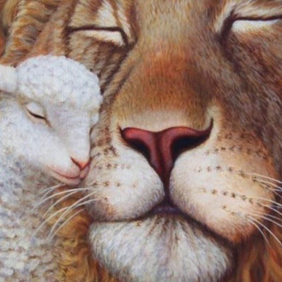 Знаки зодиака арт Минимализм