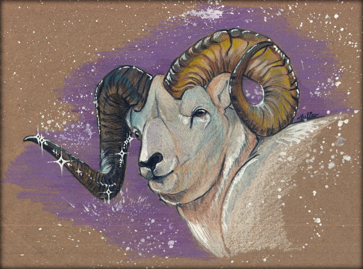 Винторогий Сайгак