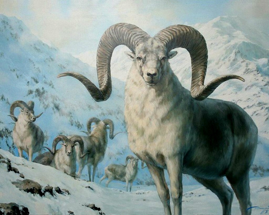 Магические животные