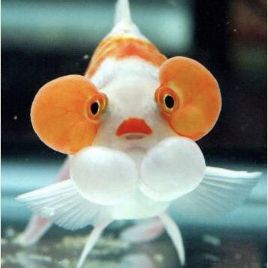 Милые рисунки