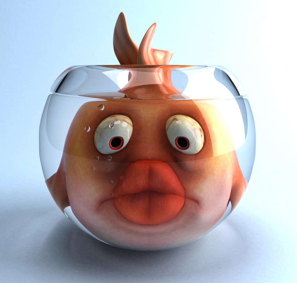 Звездочет рыбка аквариумная