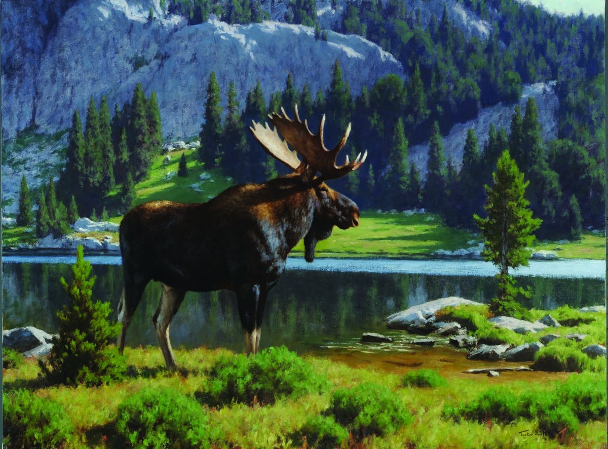 Пейзаж с лосем