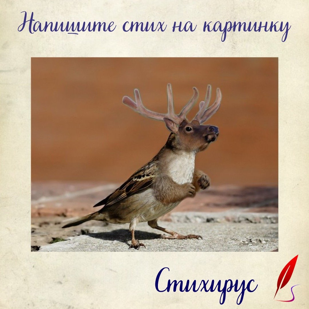 Пост заповедник для животных