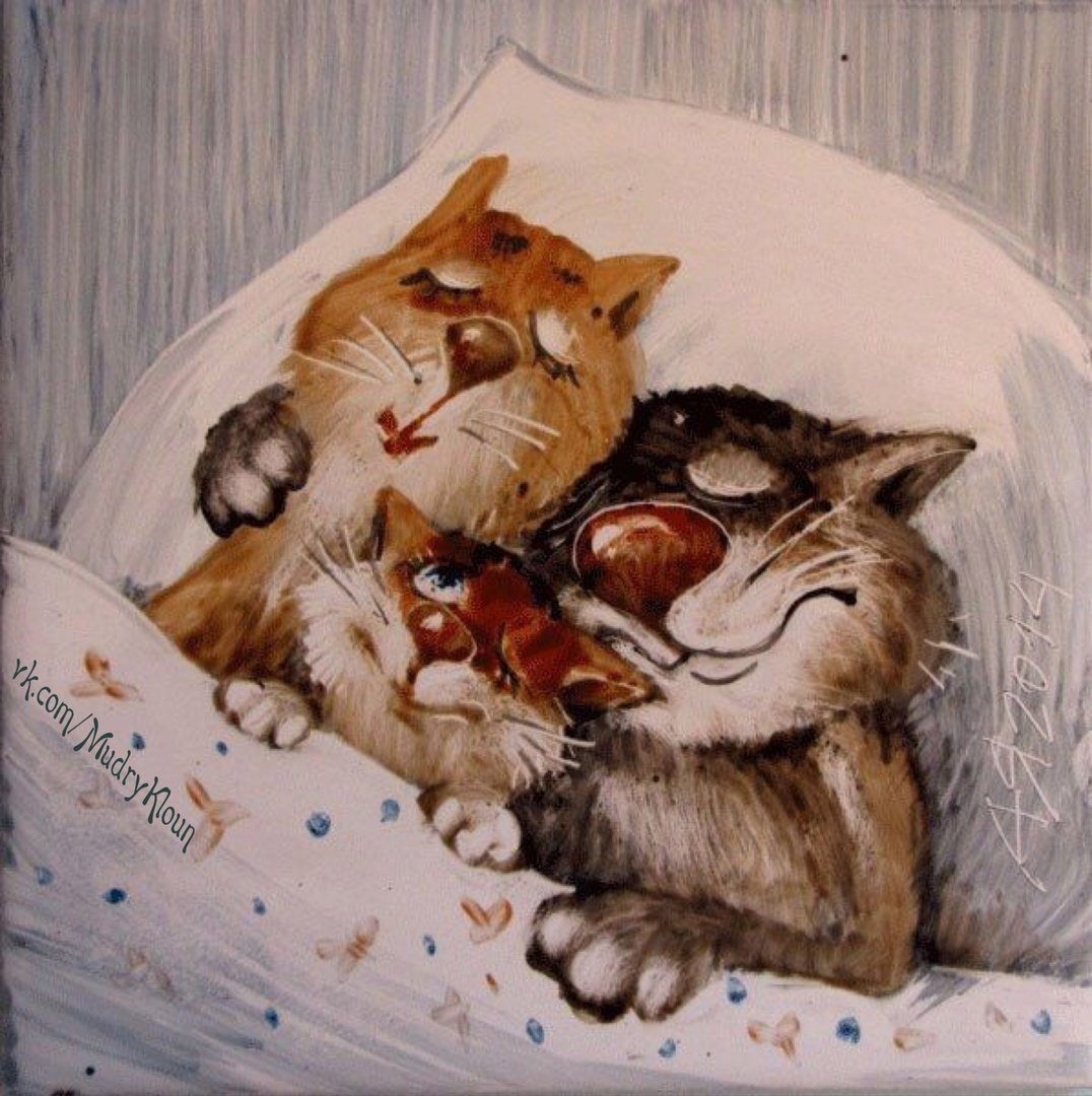 Анатолий Ярышкин коты