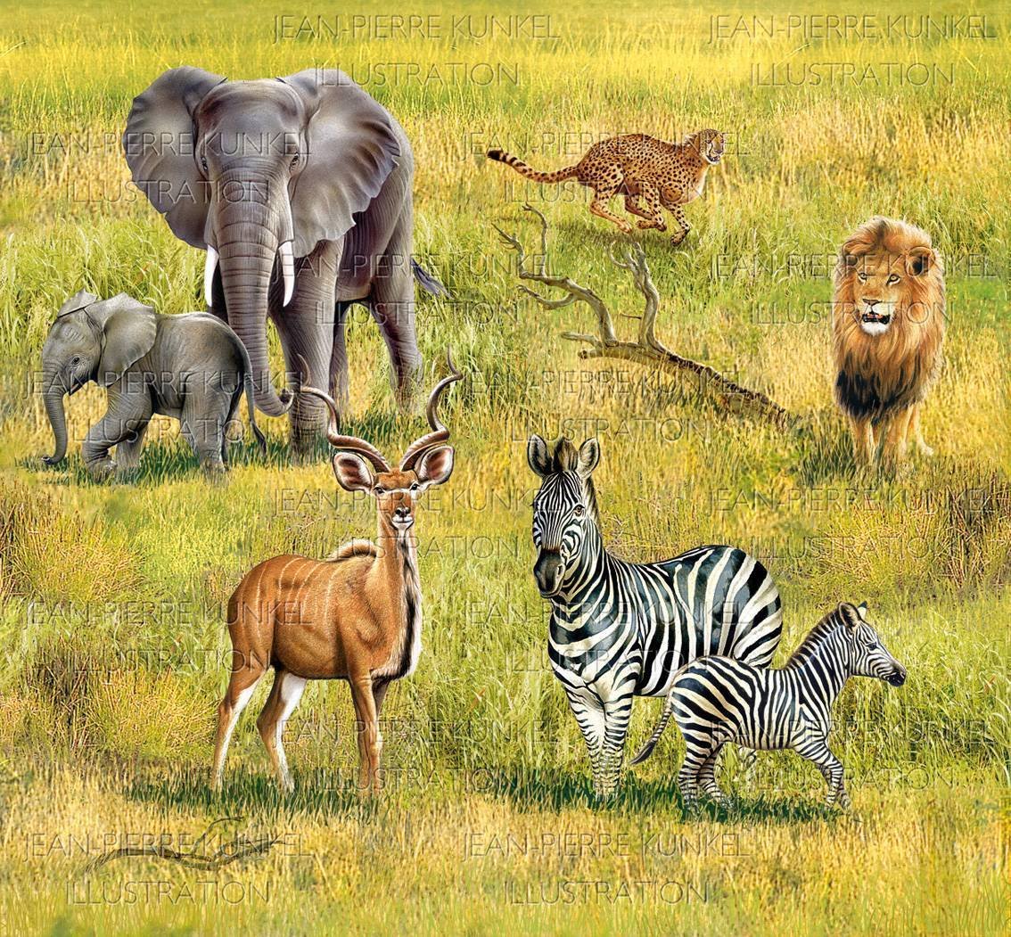 Обитатели саванны