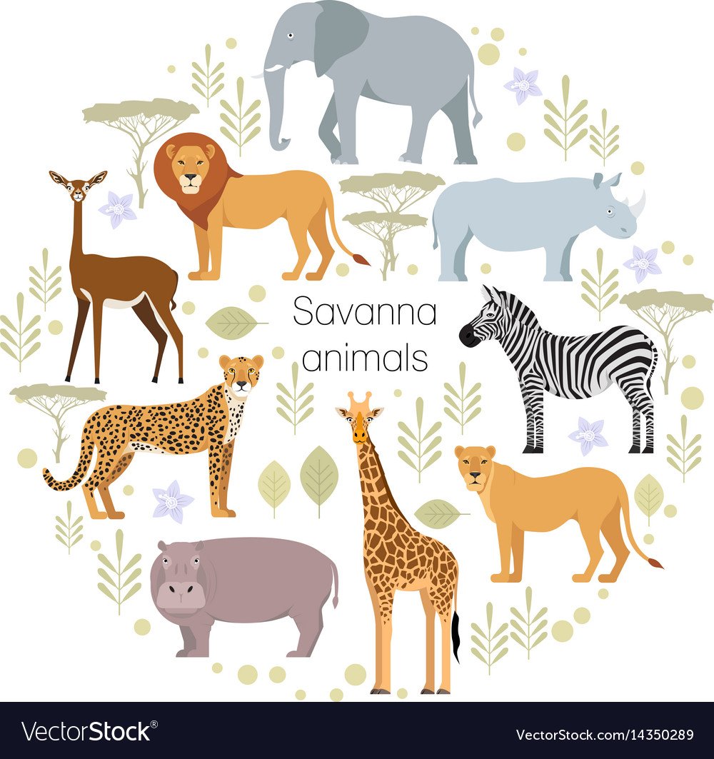 Африка Жираф слон в орнаменте