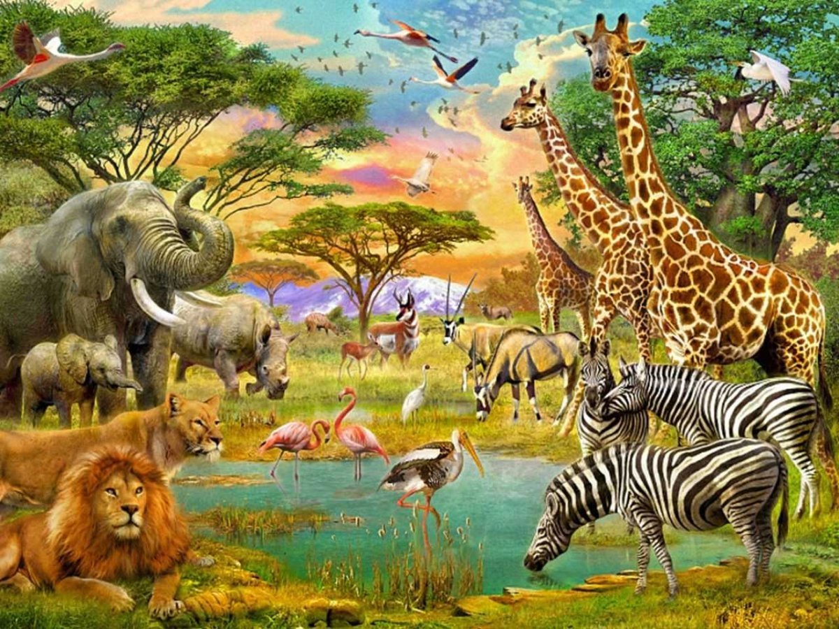 Фотообои животные Африки