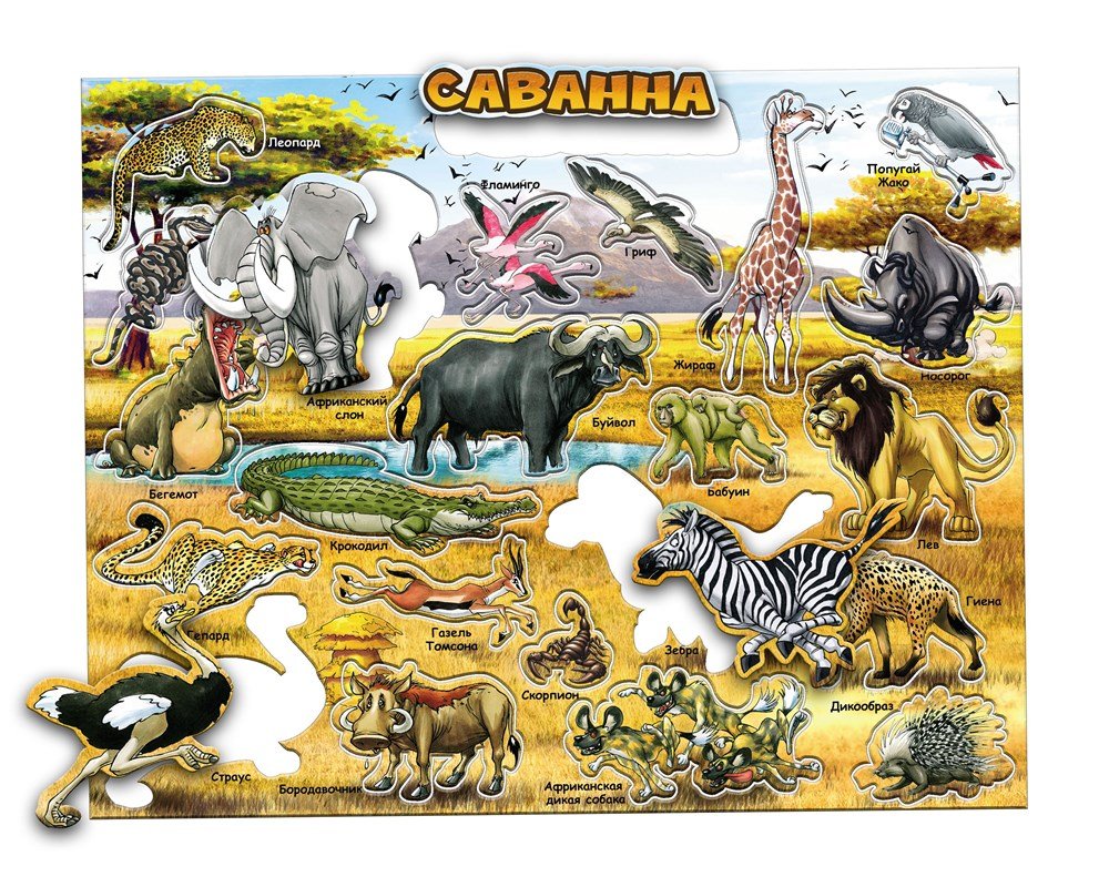 Пазл мир Саванна Ларсен