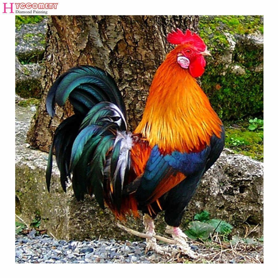 Два молодых петушка