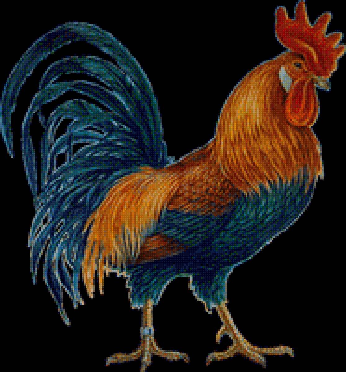 Петух на черном фоне